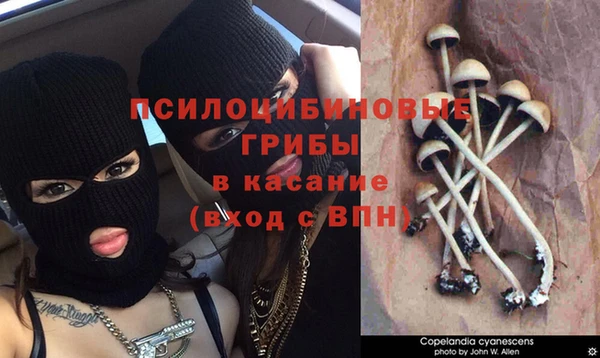 apvp Алексеевка