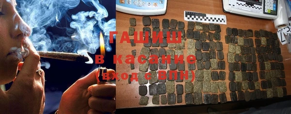 гашик Алексин