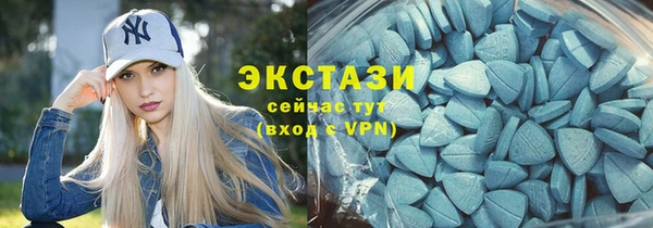гашик Алексин
