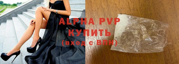 гашик Алексин