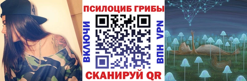 Псилоцибиновые грибы прущие грибы  Советский 