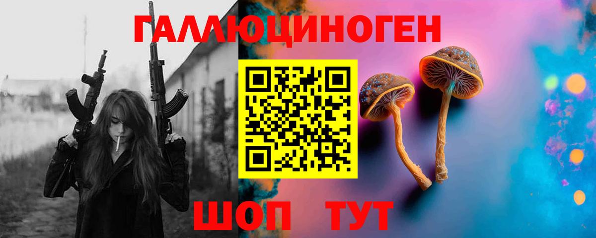 Псилоцибиновые грибы Psilocybe Советский