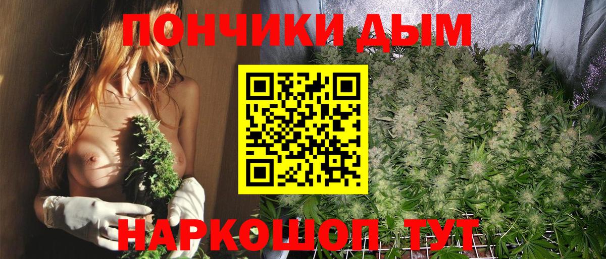 Шишки марихуана SATIVA & INDICA  Бошки марихуана Bruce Banner  Вход с VPN  Советский  Канабис гибрид  Конопля семена 